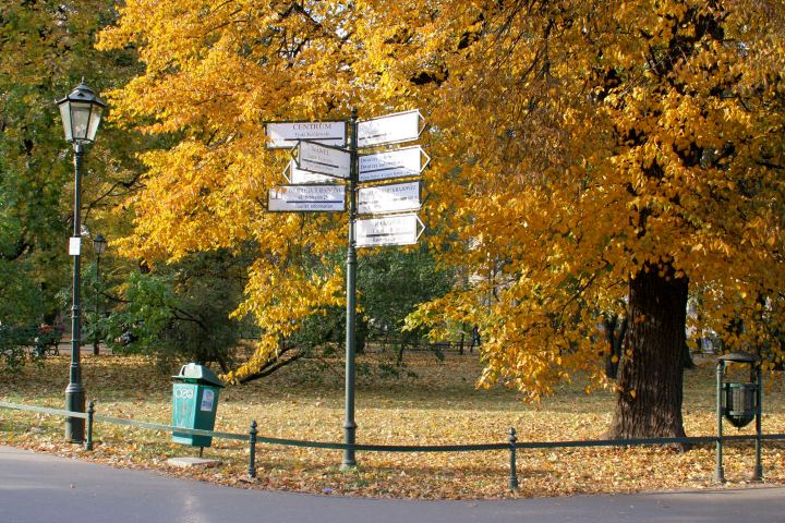 spis.php?category_id=286