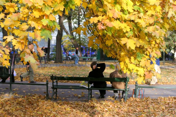 spis.php?category_id=286