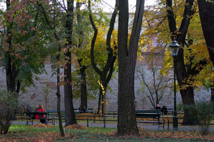 spis.php?category_id=286