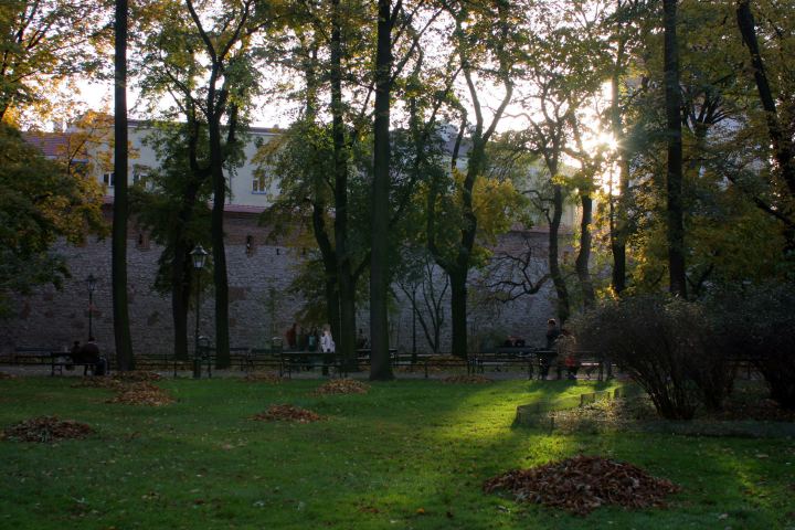 spis.php?category_id=286