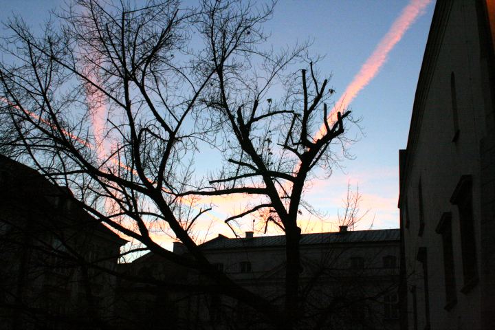 spis.php?category_id=286