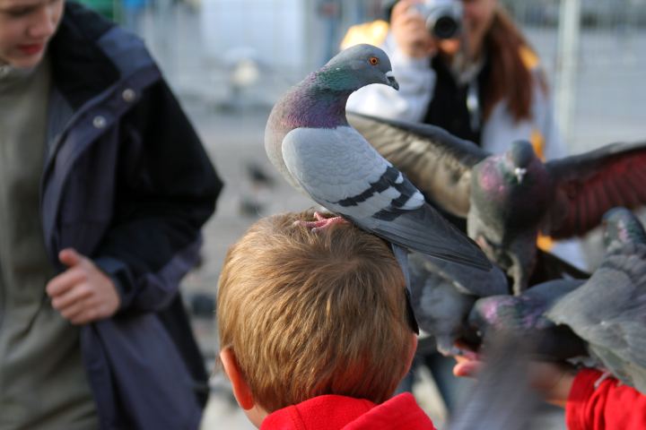 spis.php?category_id=287