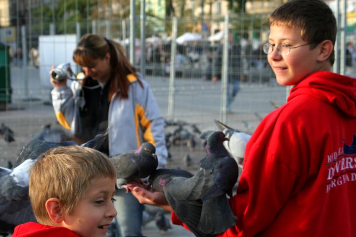 spis.php?category_id=287