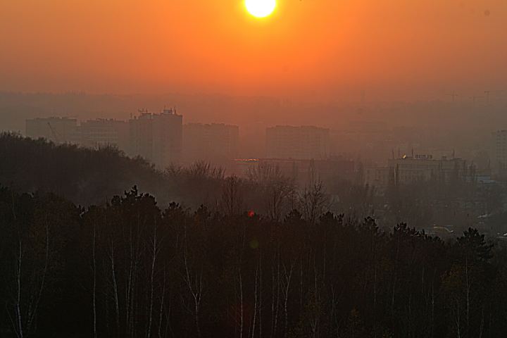 spis.php?category_id=288