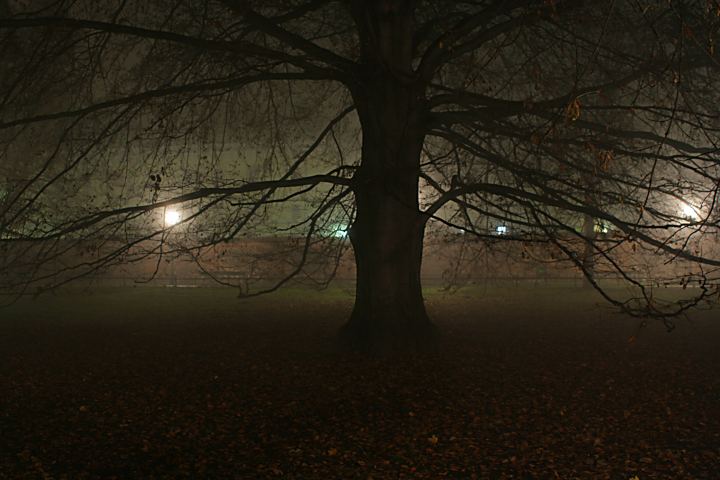 spis.php?category_id=288