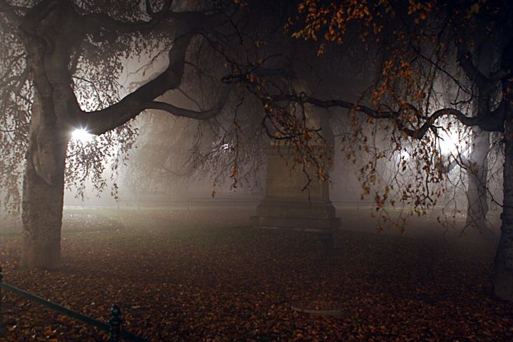 spis.php?category_id=288