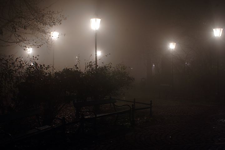 spis.php?category_id=288