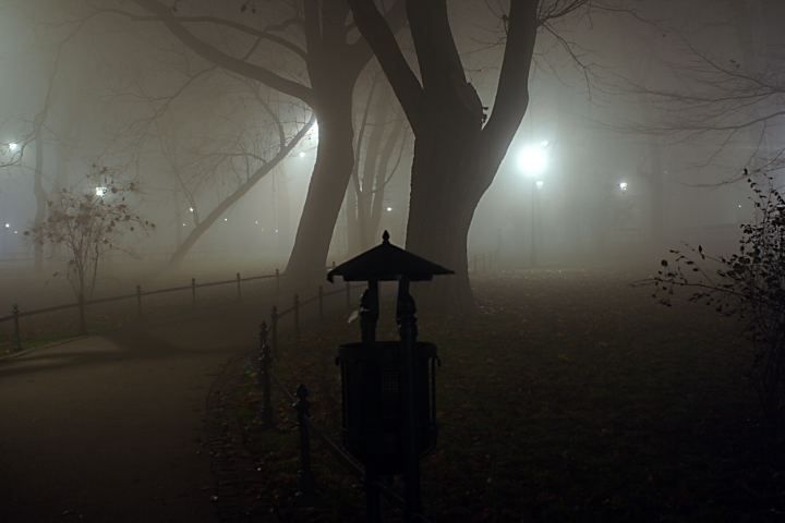 spis.php?category_id=288