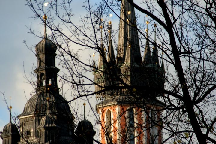 spis.php?category_id=289