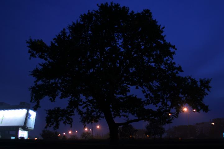 spis.php?category_id=291