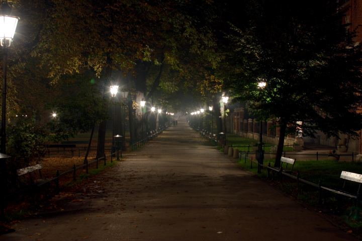 spis.php?category_id=291