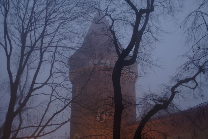 spis.php?category_id=292