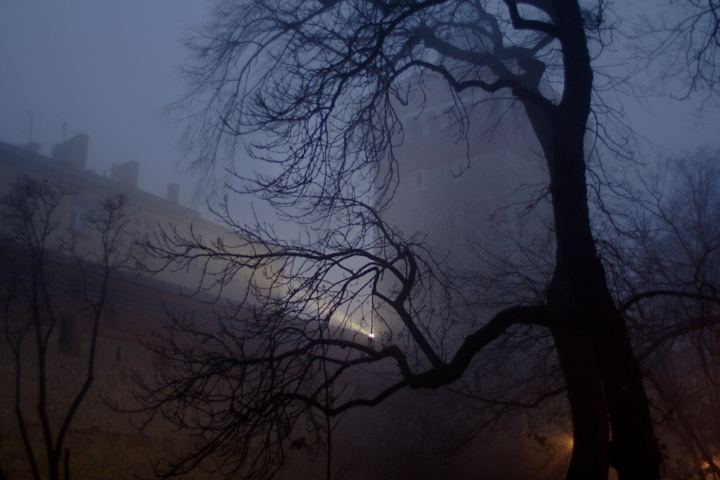 spis.php?category_id=292