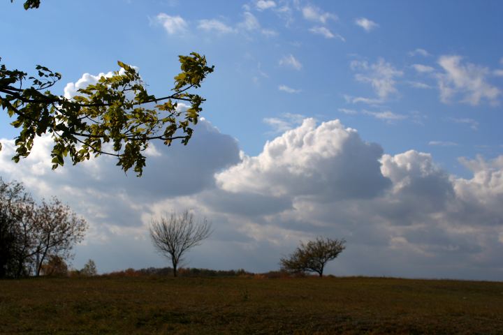 spis.php?category_id=305