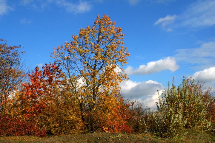 spis.php?category_id=305