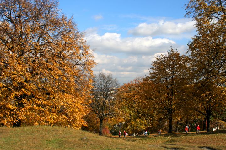 spis.php?category_id=305