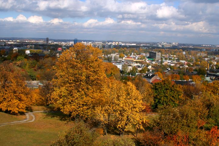 spis.php?category_id=305