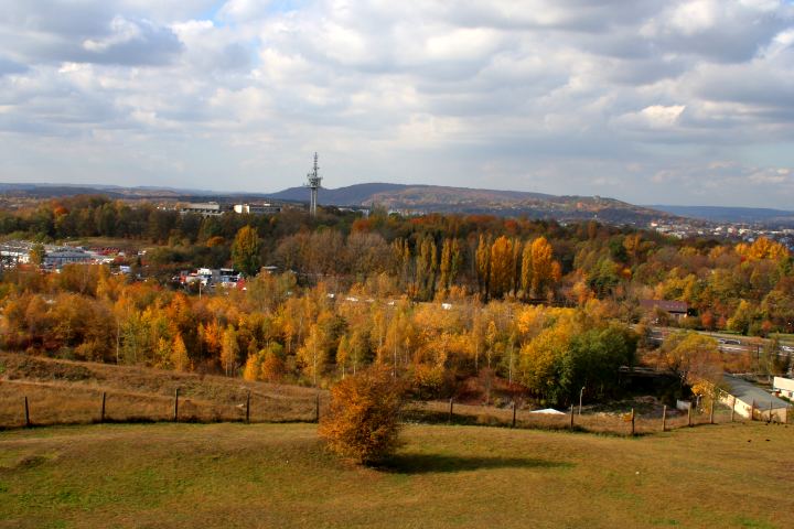 spis.php?category_id=305