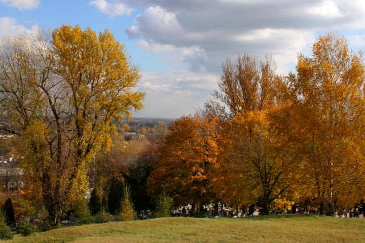 spis.php?category_id=305