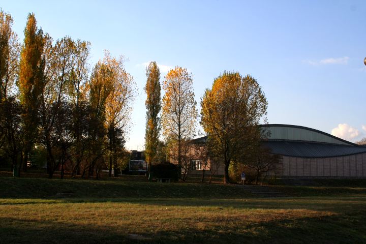 spis.php?category_id=305