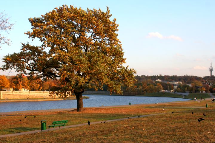 spis.php?category_id=305