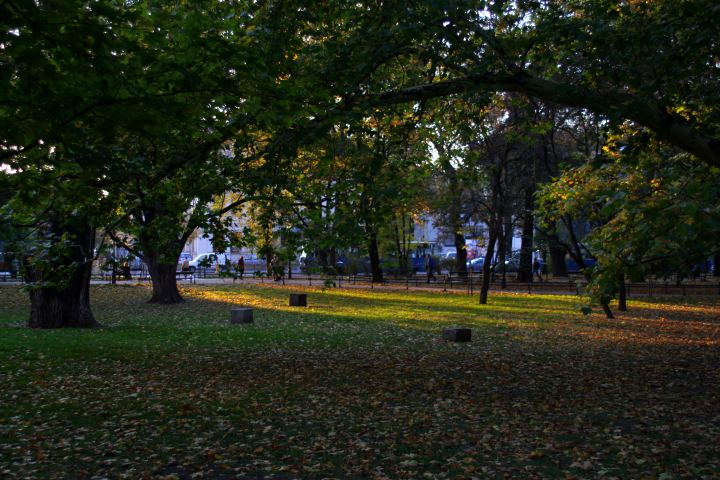 spis.php?category_id=305