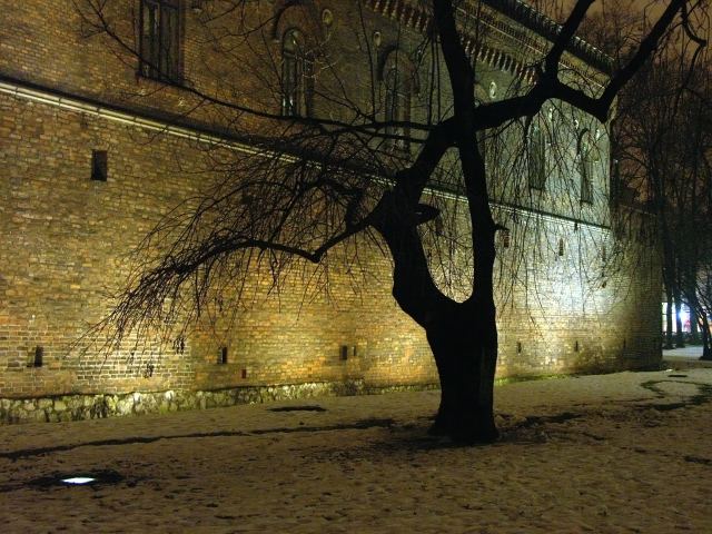 spis.php?category_id=310