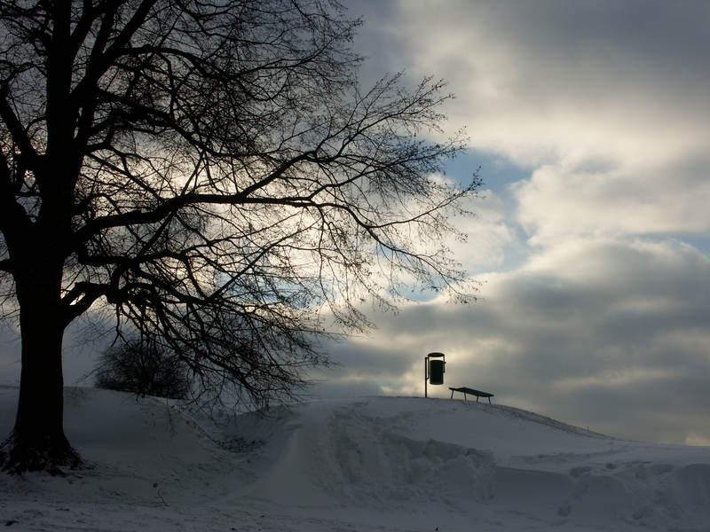 spis.php?category_id=323