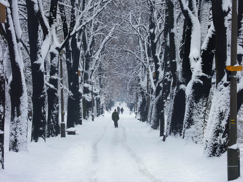 spis.php?category_id=323