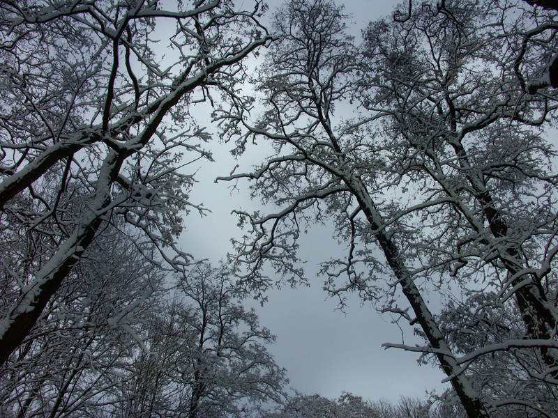 spis.php?category_id=323