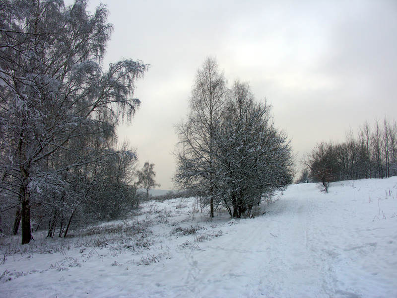 spis.php?category_id=323