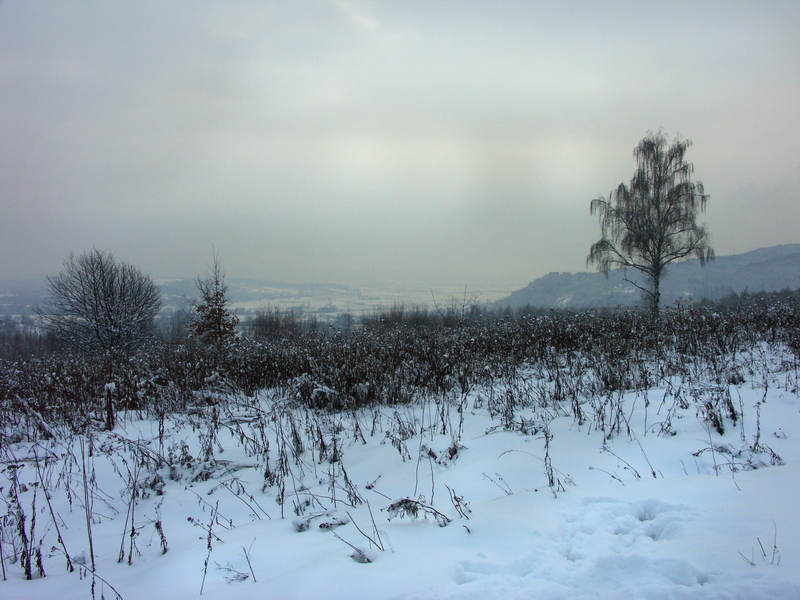 spis.php?category_id=323