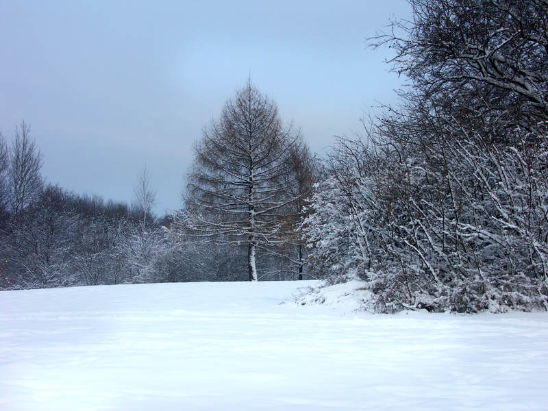 spis.php?category_id=323