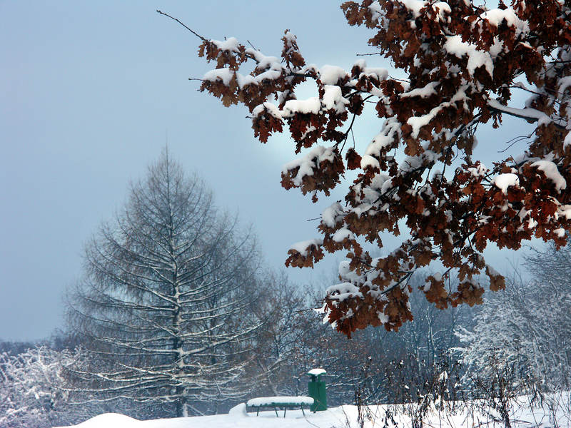 spis.php?category_id=323