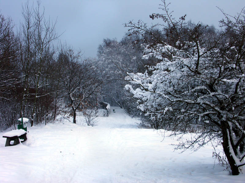 spis.php?category_id=323