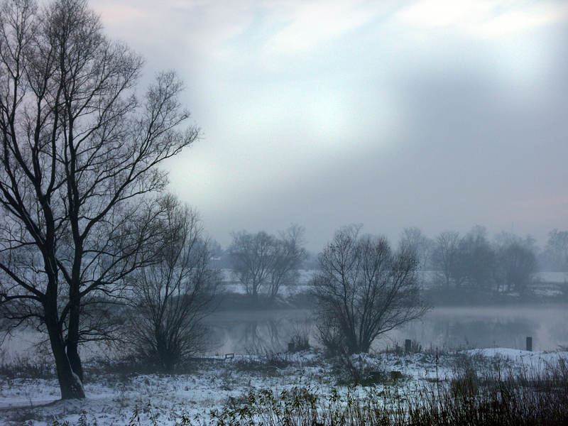 spis.php?category_id=323