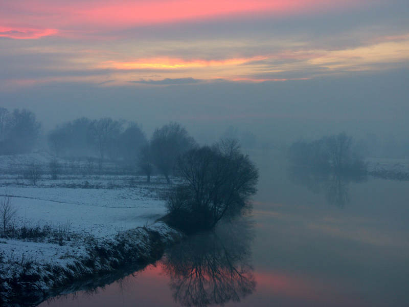 spis.php?category_id=323