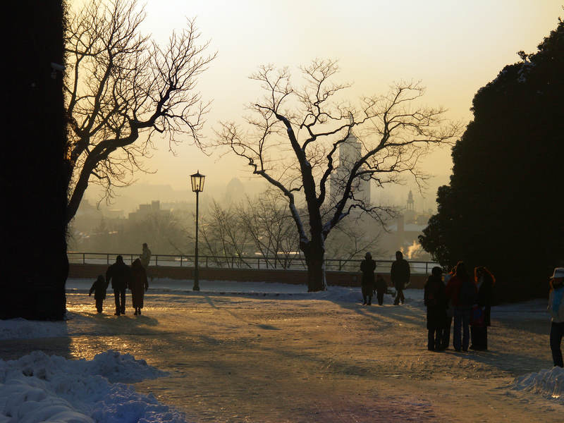 spis.php?category_id=323