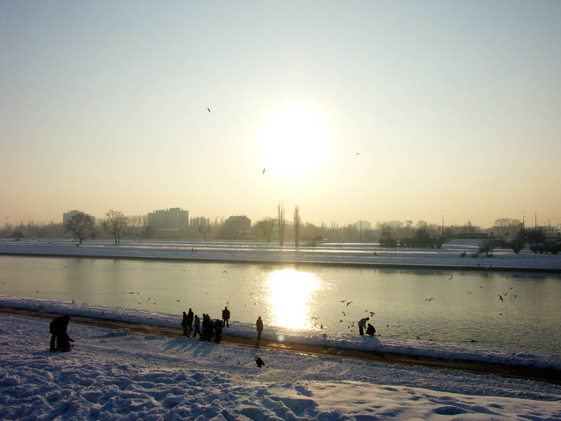 spis.php?category_id=323