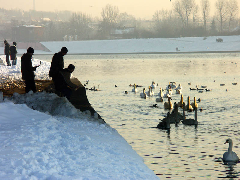 spis.php?category_id=323