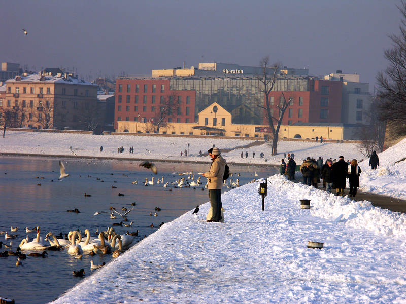 spis.php?category_id=323