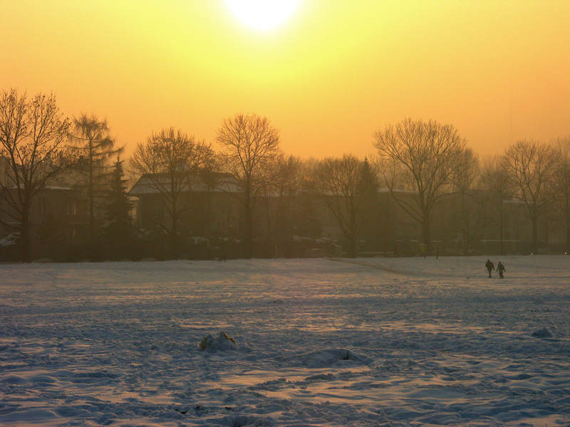 spis.php?category_id=323