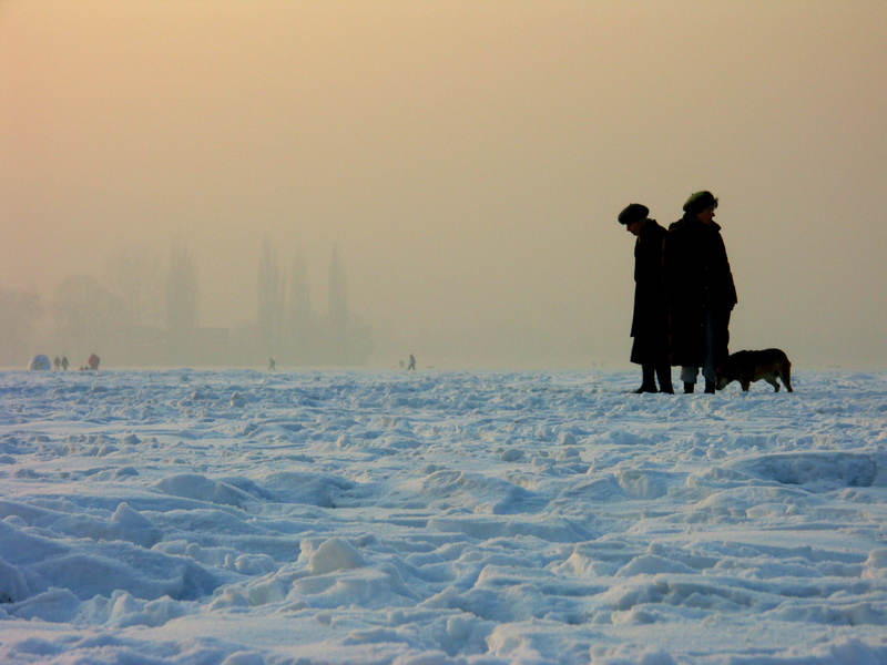 spis.php?category_id=323