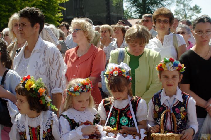 spis.php?category_id=297