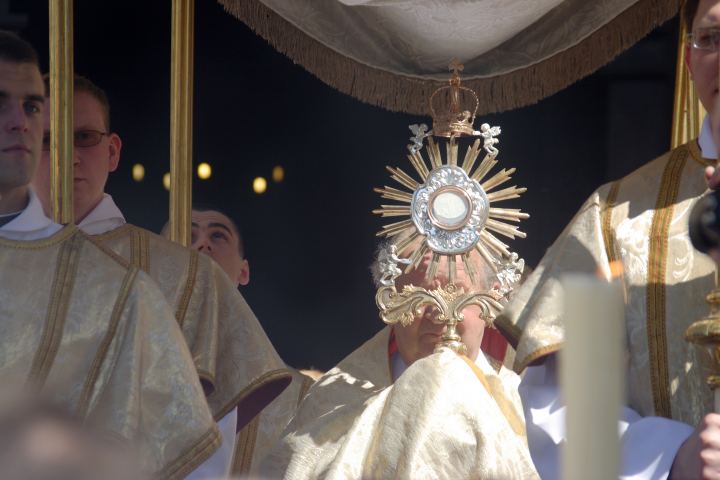 spis.php?category_id=297