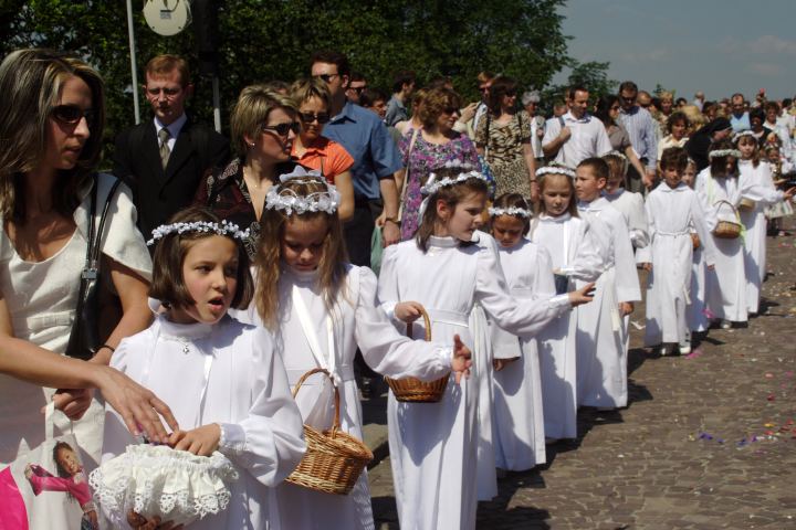 spis.php?category_id=297