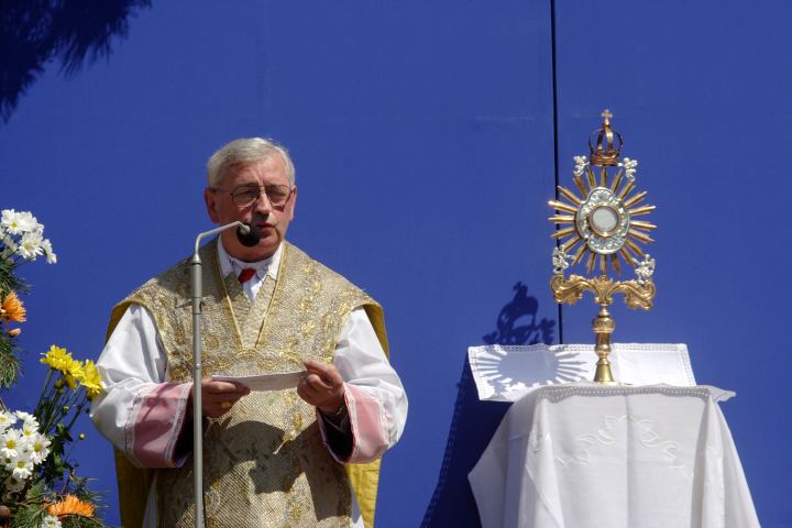 spis.php?category_id=297