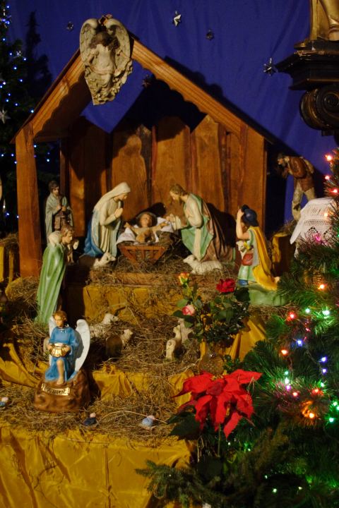 spis.php?category_id=298