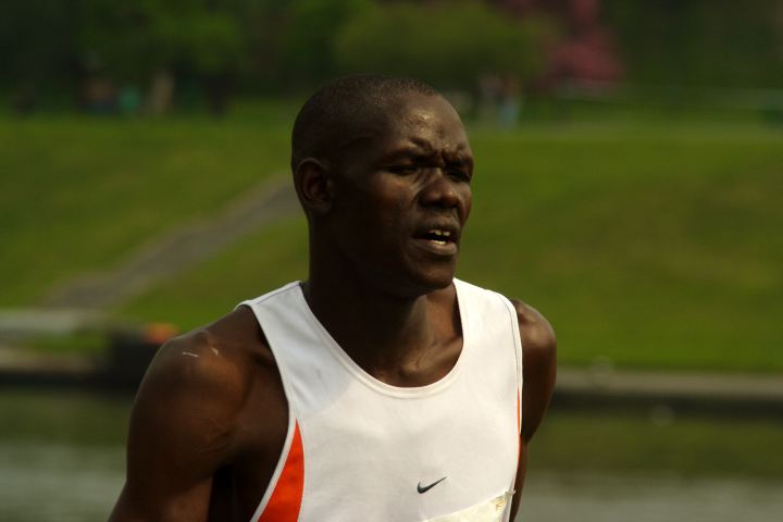 spis.php?category_id=299