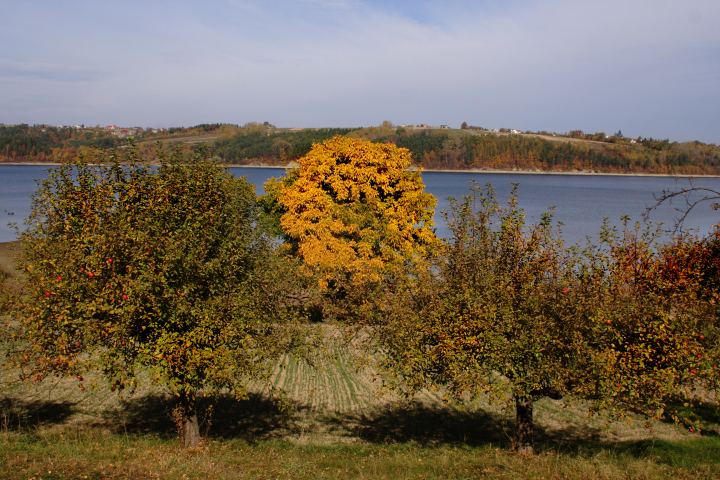 spis.php?category_id=306